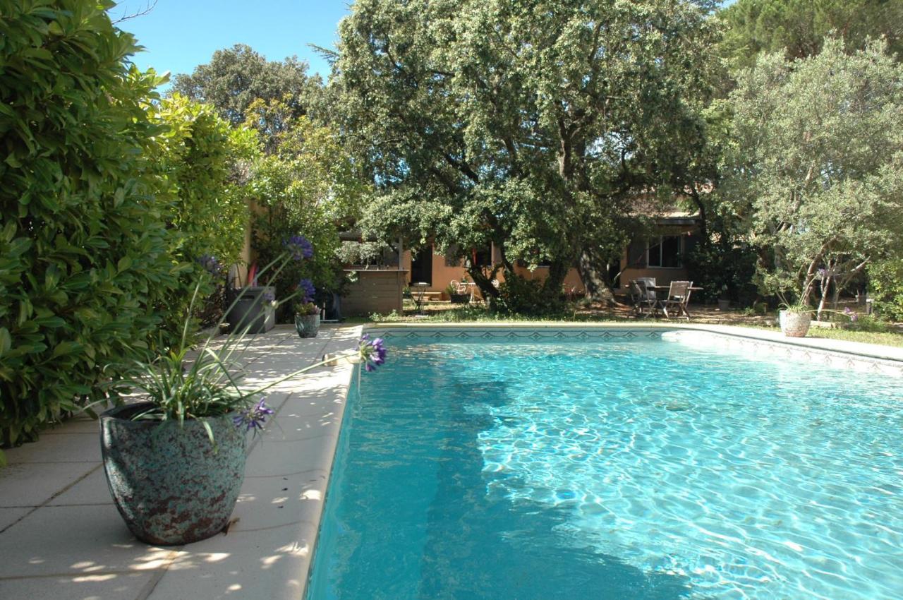 La Vigne Et L'Olivier Lägenhet Villeneuve-lès-Avignon Exteriör bild