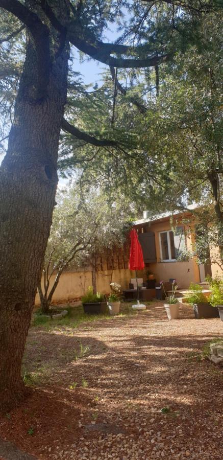 La Vigne Et L'Olivier Lägenhet Villeneuve-lès-Avignon Exteriör bild