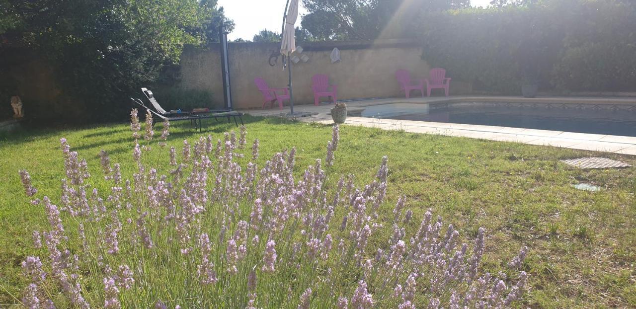 La Vigne Et L'Olivier Lägenhet Villeneuve-lès-Avignon Exteriör bild